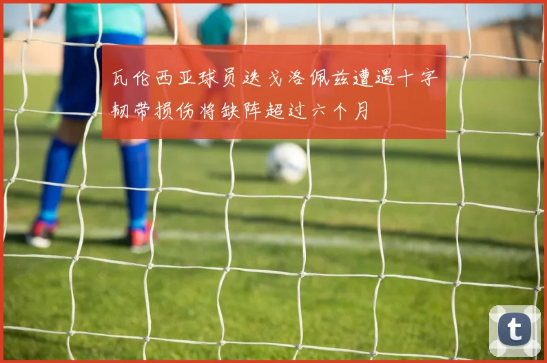 瓦伦西亚球员迭戈洛佩兹遭遇十字韧带损伤将缺阵超过六个月